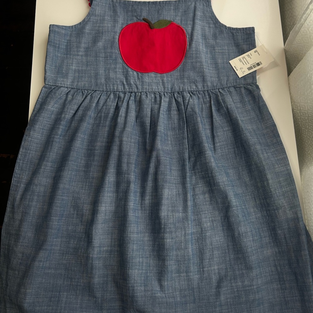 2/25 Gymboree Blue Dress with Red Apple Appliqué and the pink dress with hearts.